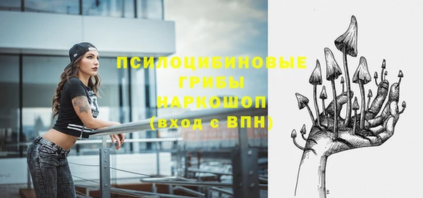 гидра Алексин