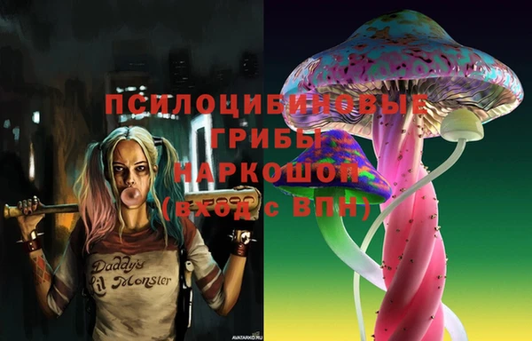 jwh Новодвинск